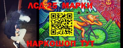 мет Кингисепп