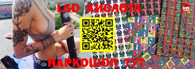 мет Кингисепп
