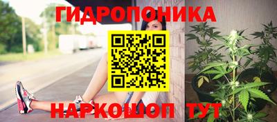 2c-b Кимры