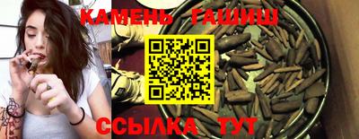 мет Кингисепп
