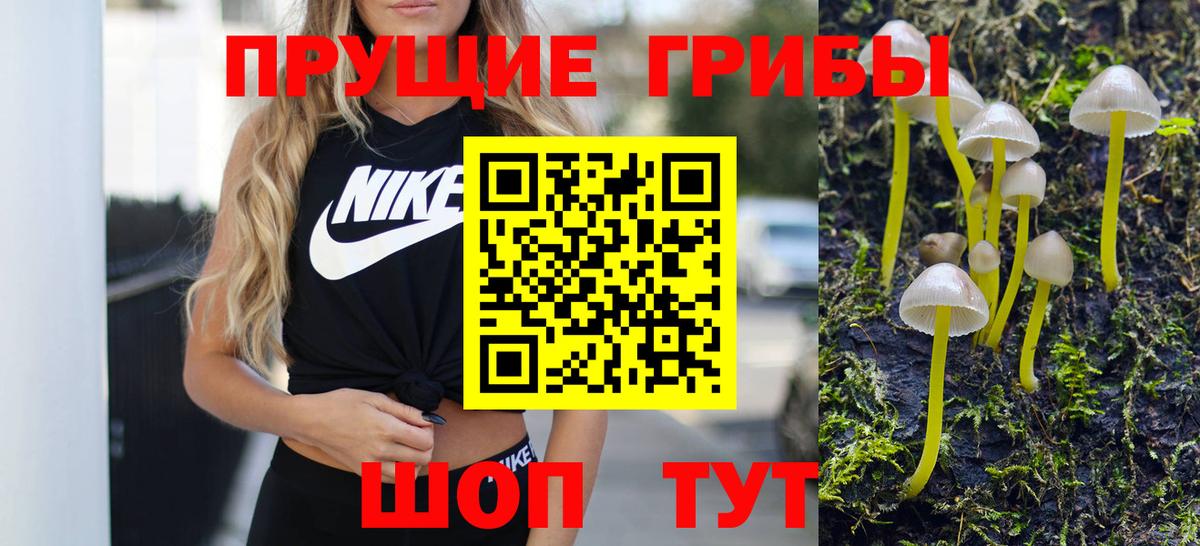 Псилоцибиновые грибы Magic Shrooms Якутск